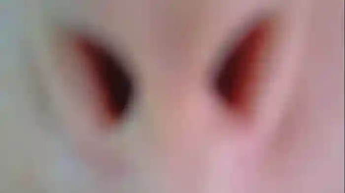 _demi_dee_