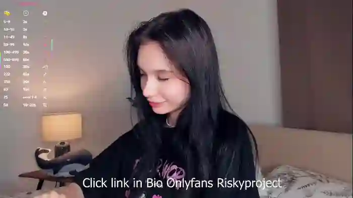 riskyproject