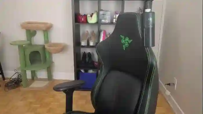 alexa_dream