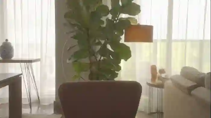 emma_lu1