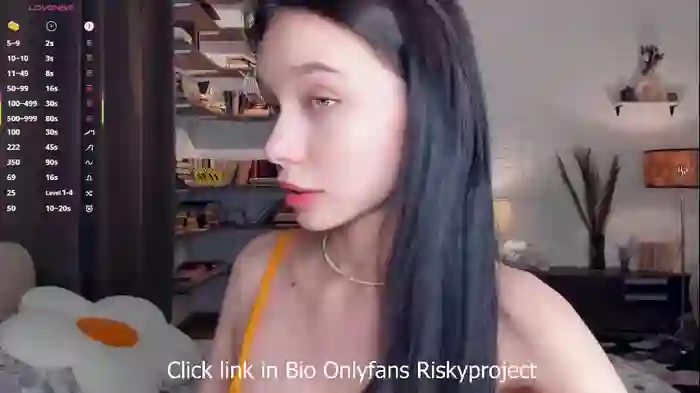 riskyproject