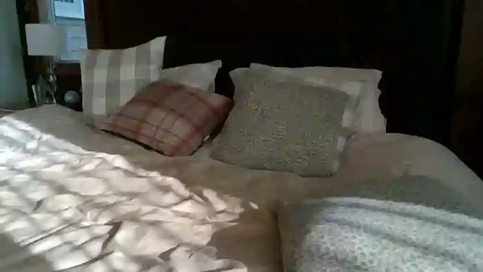 kumfoxlive