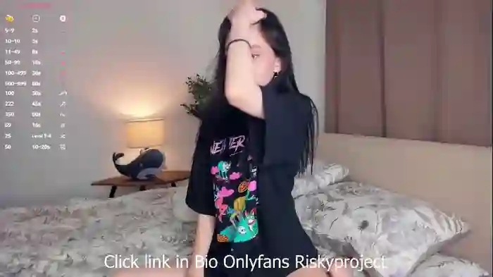 riskyproject