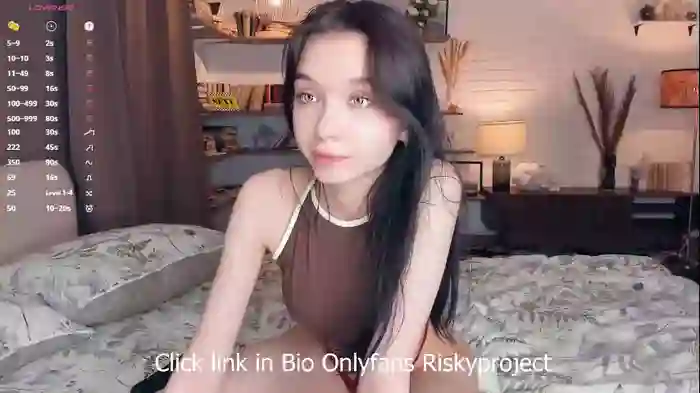 riskyproject