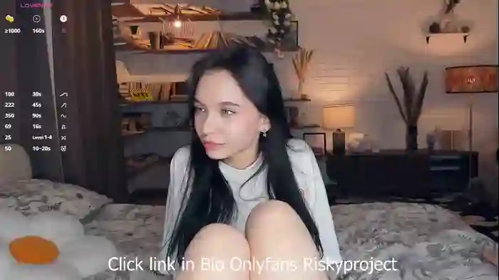 riskyproject