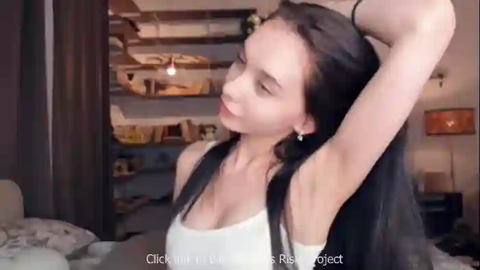 riskyproject