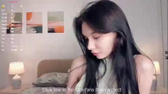 riskyproject