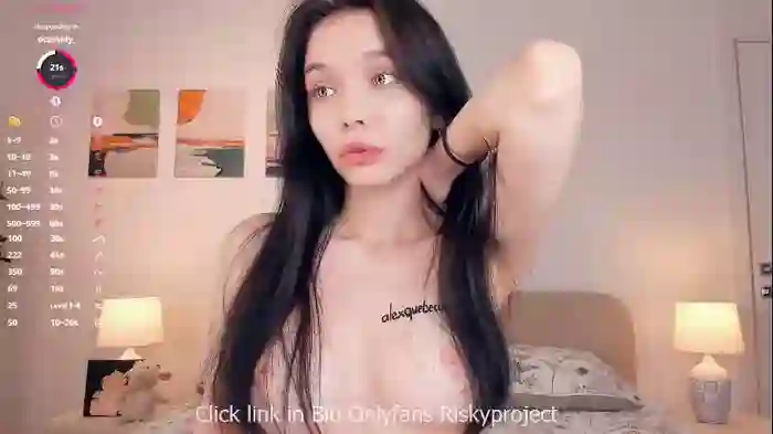 riskyproject