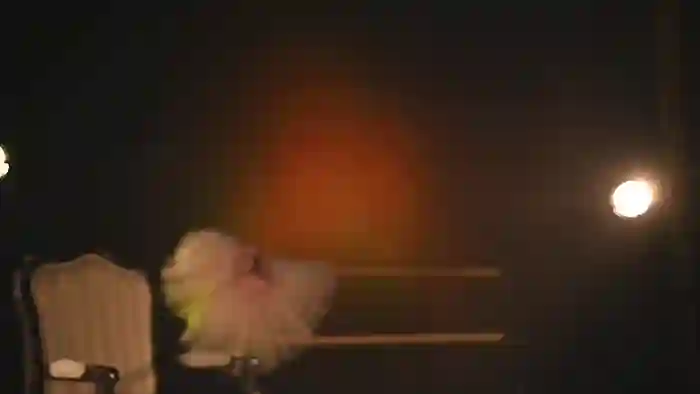 rocknrose