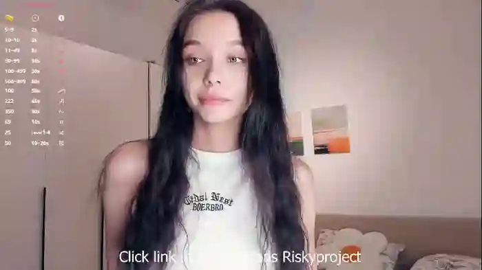 riskyproject
