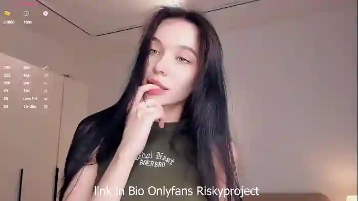 riskyproject