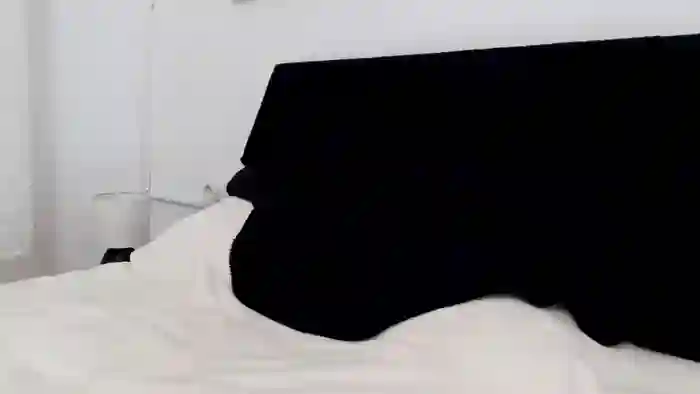 apollobest77