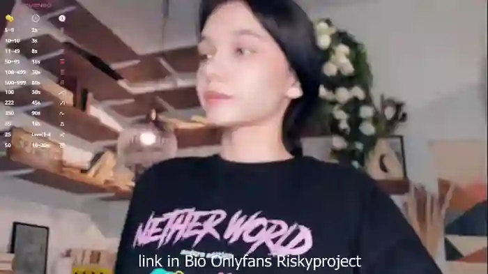 riskyproject