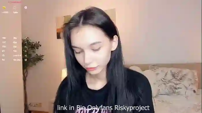 riskyproject