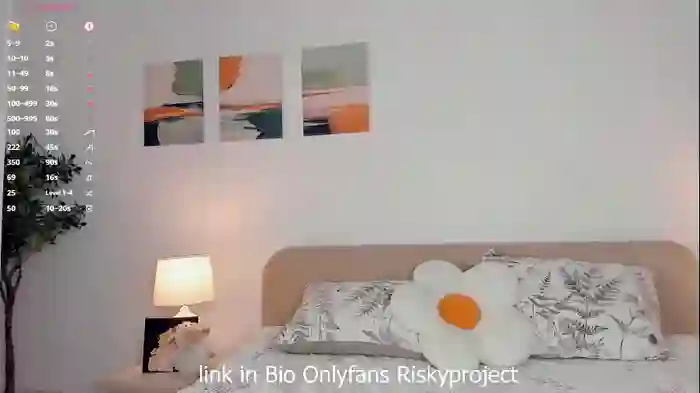 riskyproject