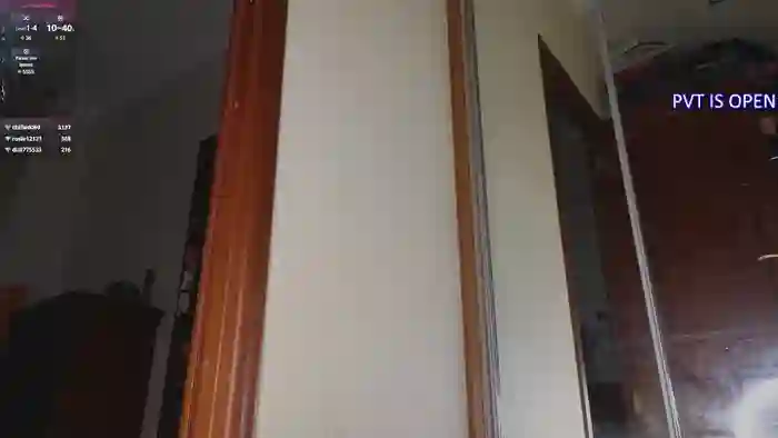artemisa_meows