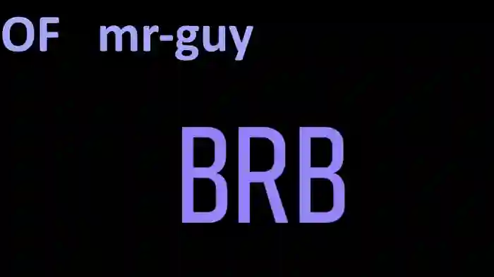 _mrguy_