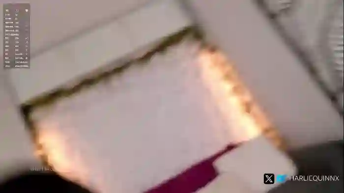 harliequinnx