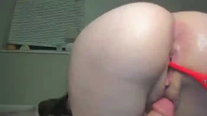 venicebtchh