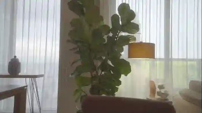 emma_lu1
