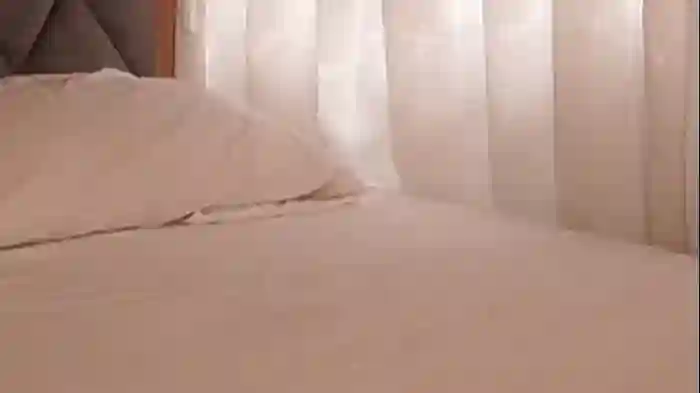 letiziafulkers1