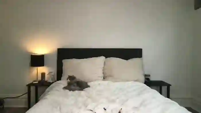 scarletterose_504259