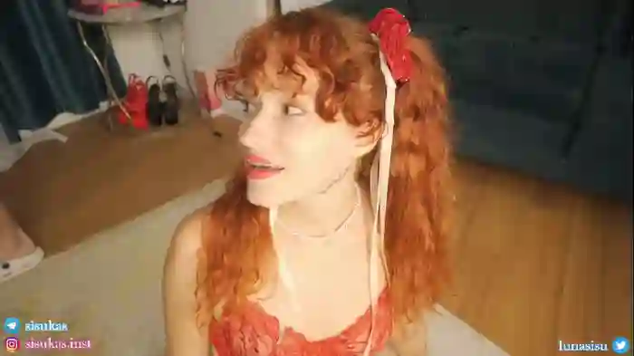 sisukass