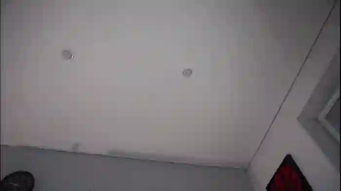 amy_alle