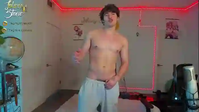 thejohnnystone
