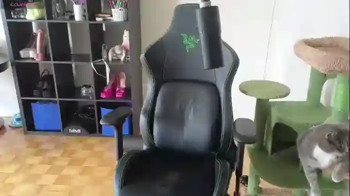 alexa_dream