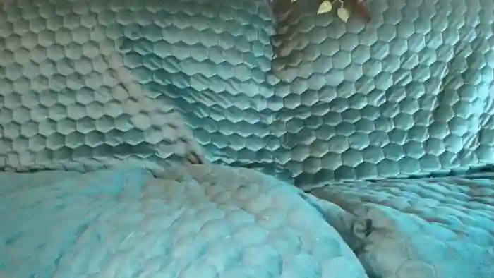 bigdicktrannynicole