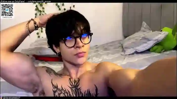 fit_prince_