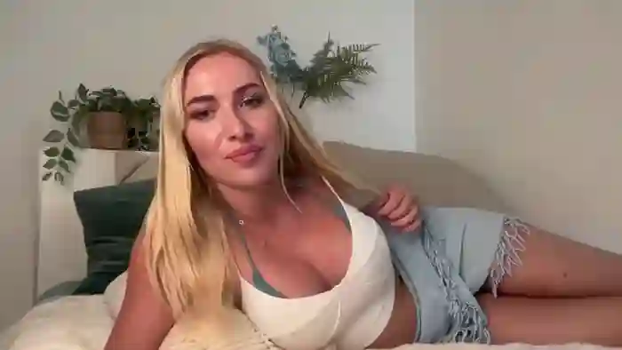 heyskylar