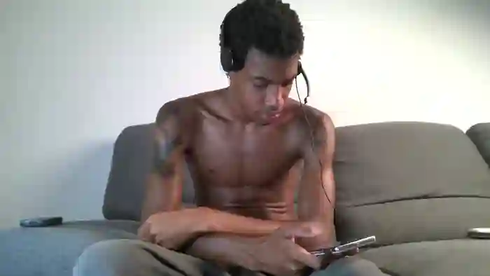 blackbulltitus