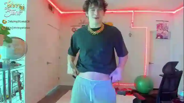 thejohnnystone