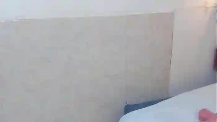 arya_nahalii