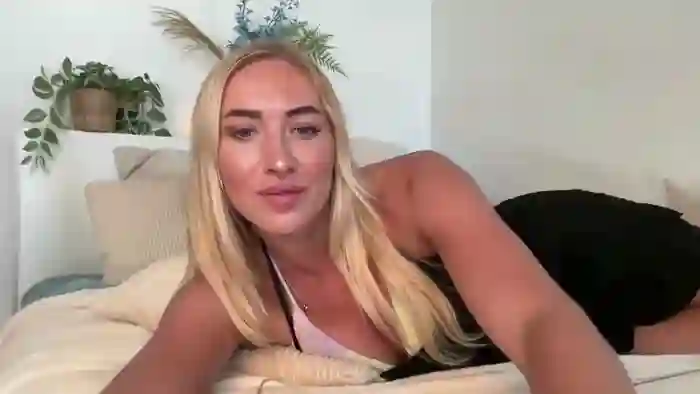 heyskylar