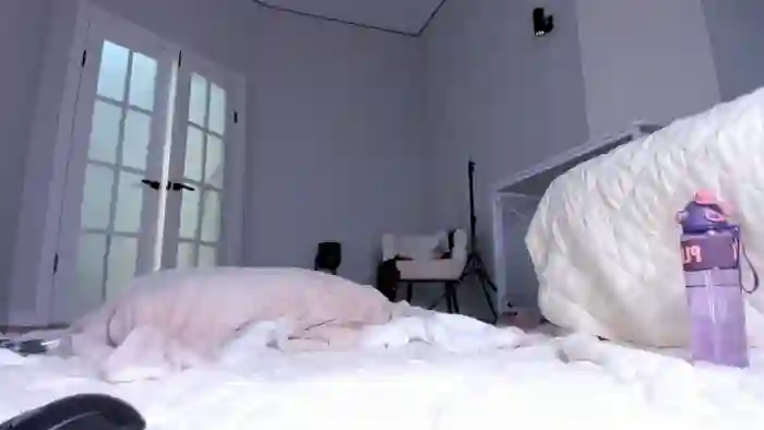 sassynova