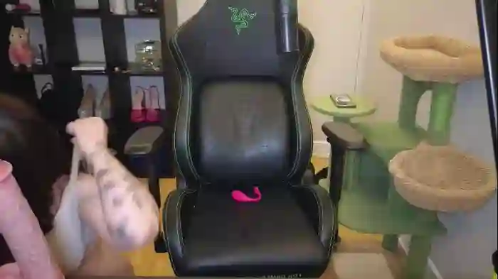 alexa_dream