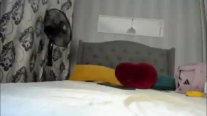 snow_flakee