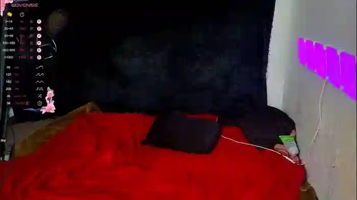 demmi_foxy