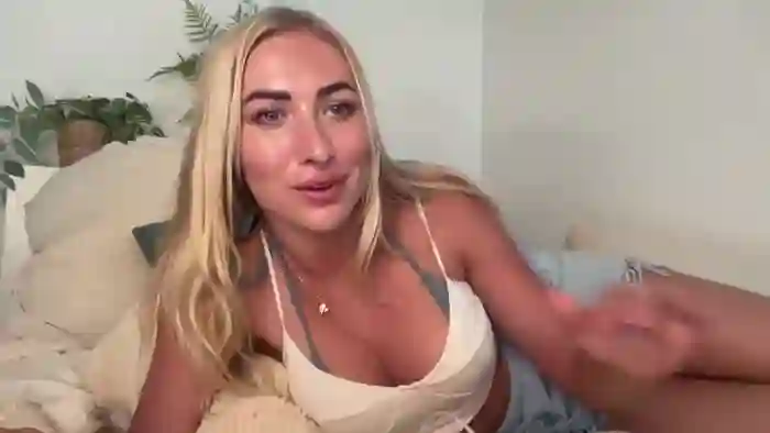 heyskylar
