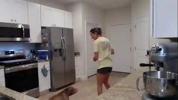 holihurricane
