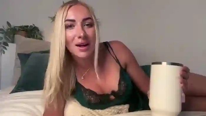 heyskylar