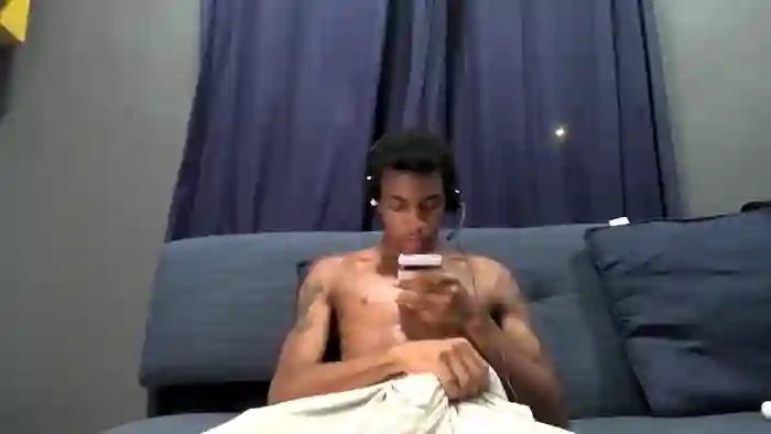 blackbulltitus