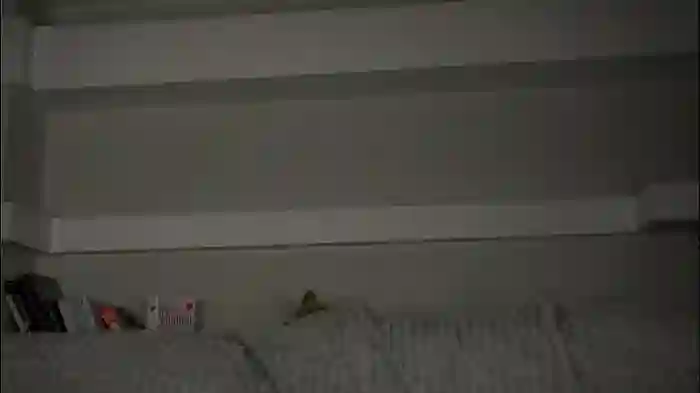 zeldaes