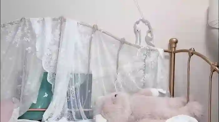 jingyan666