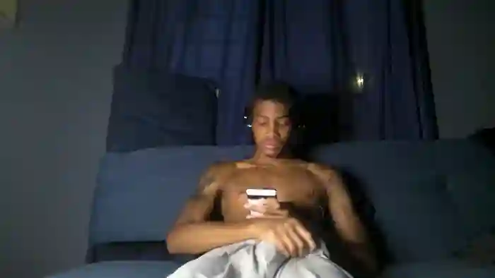 blackbulltitus