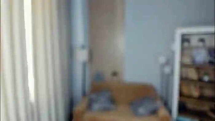 bunny_nova