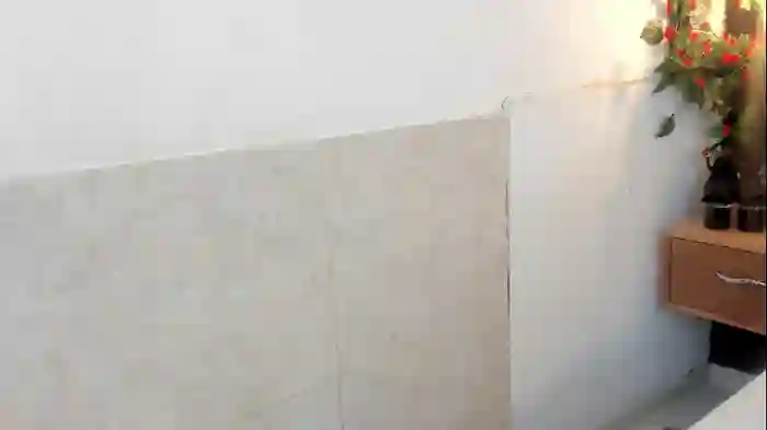 arya_nahalii